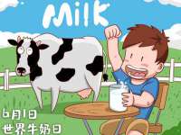 上海典恩灼网络科技有限公司