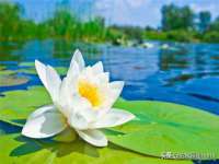 上海典恩灼网络科技有限公司