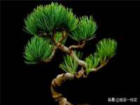 上海典恩灼网络科技有限公司
