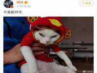 上海典恩灼网络科技有限公司