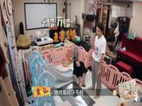 上海典恩灼网络科技有限公司