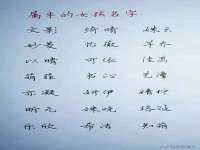 上海典恩灼网络科技有限公司
